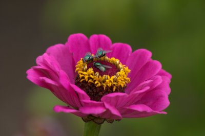 CRW_2439.jpg
