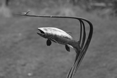 IMG_2474.jpg