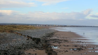 IMG_4695 (Large).JPG