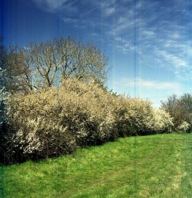 blad Fuji Pro160S 03.jpg