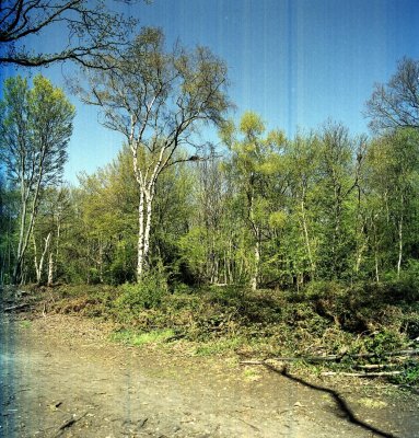 blad Fuji Pro160S 07.jpg