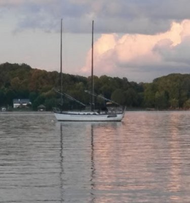 The Cove at Concord Park.jpg