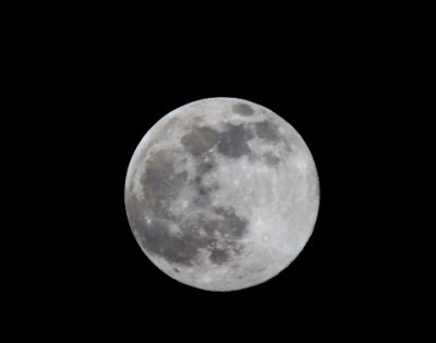 IMG_2294.JPG