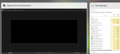 DPP 4.16.0 After Startup.jpg