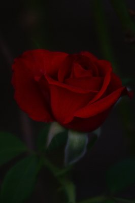 K7_01189.JPG