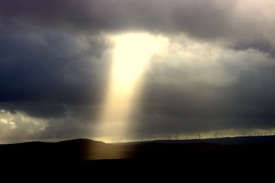 IMG_9470.JPG