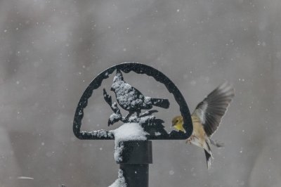 IMG_4436.jpg