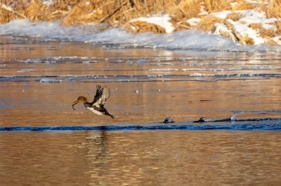 IMG_4714-Edit.jpg