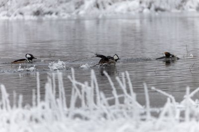 IMG_5705.jpg