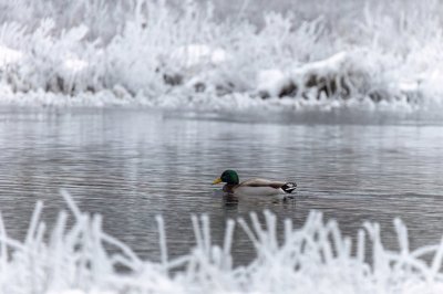 IMG_5684-Edit.jpg