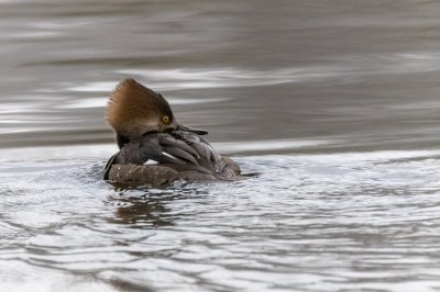 IMG_5842-Edit.jpg