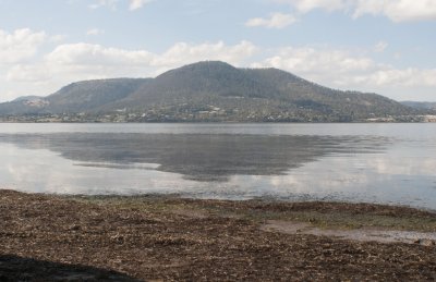 Looking East across Derwent river from Montrose Bay yacht club..jpg