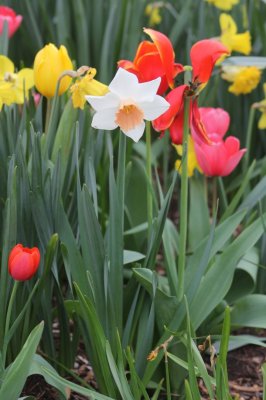 IMG_0078.JPG