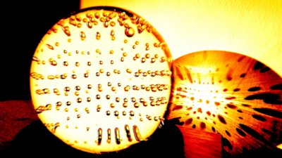 IMG_3433 2.JPG