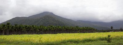Untitled_Panorama1(2).jpg