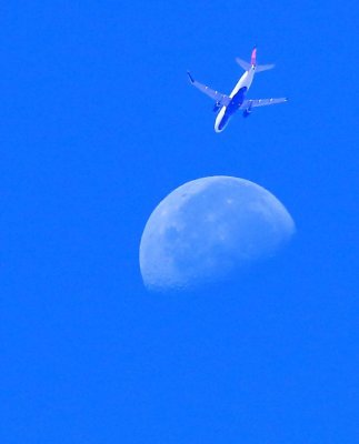 IMG_4088a2.jpg