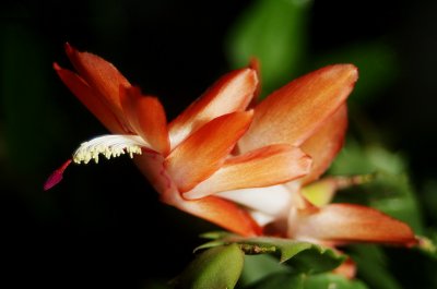 K7_00704 (2).JPG