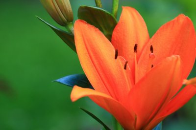 IMG_3056.JPG