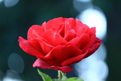 IMG_3051.JPG
