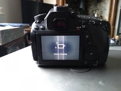 Canon 80D fault 2.jpg