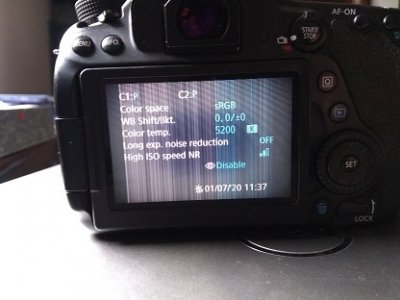 Canon 80D fault 3.jpg