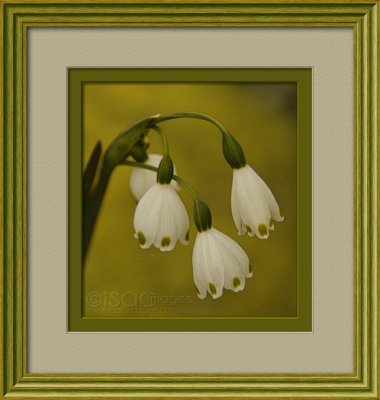 9386-Bells.jpg