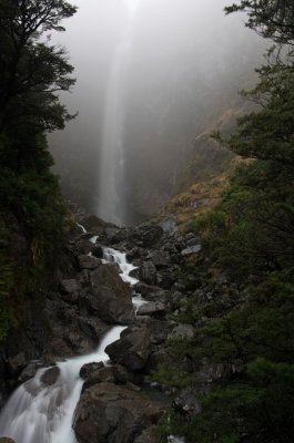 IMGP3080_resize.jpg