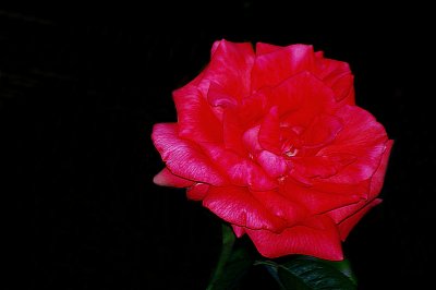 K7_06907 (2).JPG