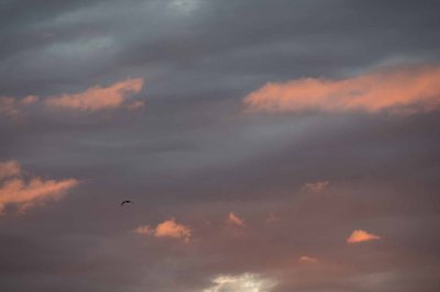 IMG_2451_DNG.jpg