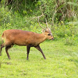 IMG_0854