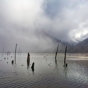 IMG_0794