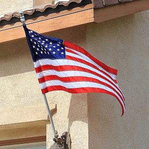 Flag Day in the US