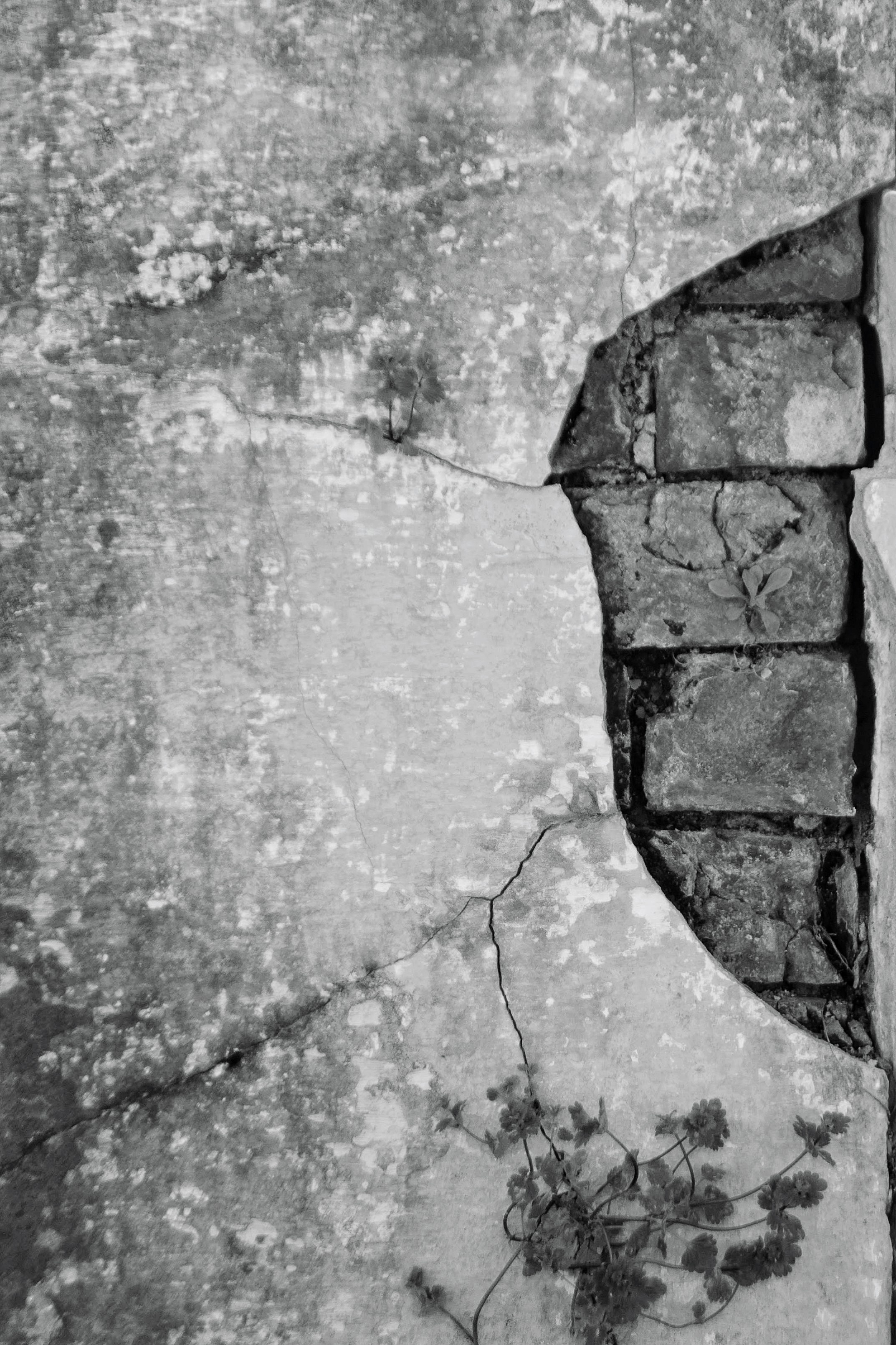 just another brick in the wall